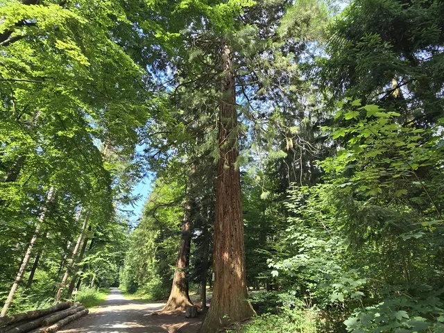 Foto: Heidrun Rosenberger