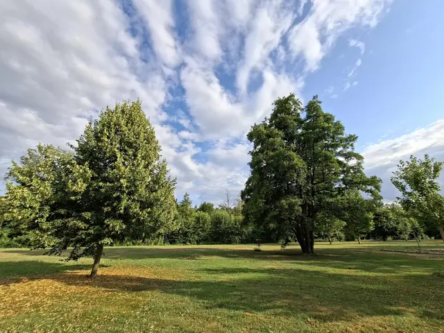 Hier in den Parks gibt es so viel zu entdecken, wunderschön🌻🐝😀😎🌞 | Foto: Ralf Röser