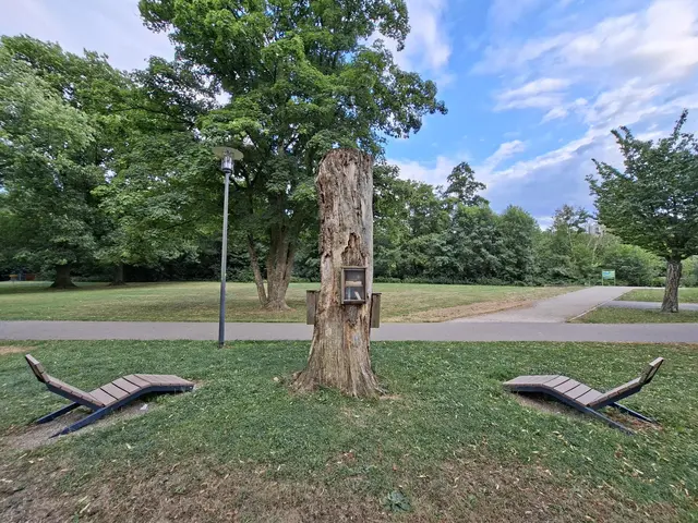 Hier in den Parks gibt es so viel zu entdecken, wunderschön🌻🐝😀😎🌞 | Foto: Ralf Röser