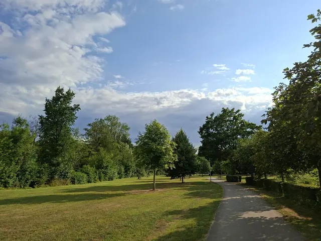 Hier in den Parks gibt es so viel zu entdecken, wunderschön🌻🐝😀😎🌞 | Foto: Ralf Röser