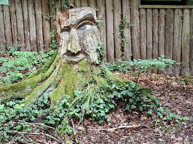 Heute habe ich mal bissle den Wald erkundet, einfach herrlich🌳🏡🌲 | Foto: Ralf Röser