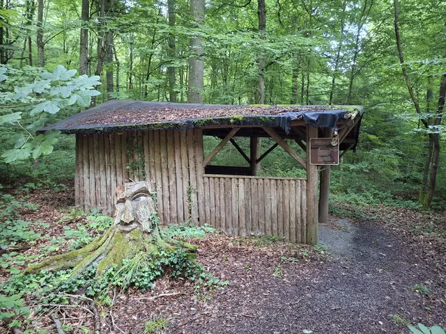 Heute habe ich mal bissle den Wald erkundet, einfach herrlich🌳🏡🌲 | Foto: Ralf Röser