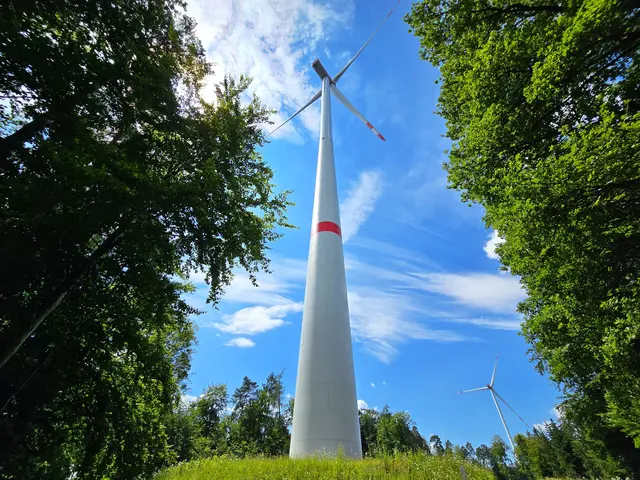 Foto: Heidrun Rosenberger