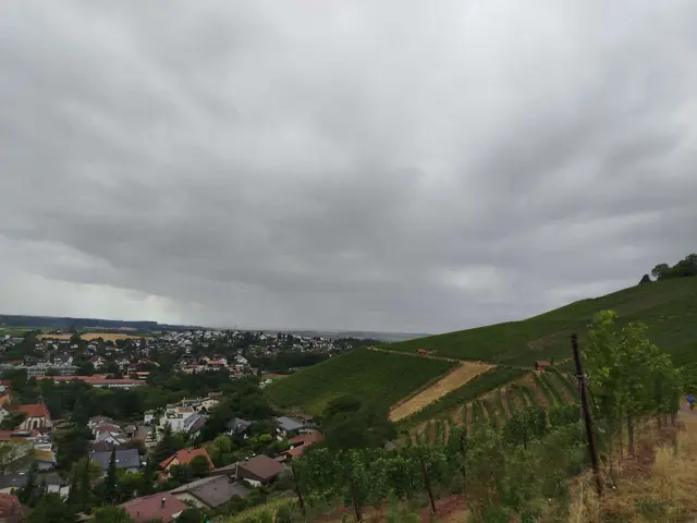 Heimfahrt und erste dunkle Wolken | Foto: E. Rosendorf