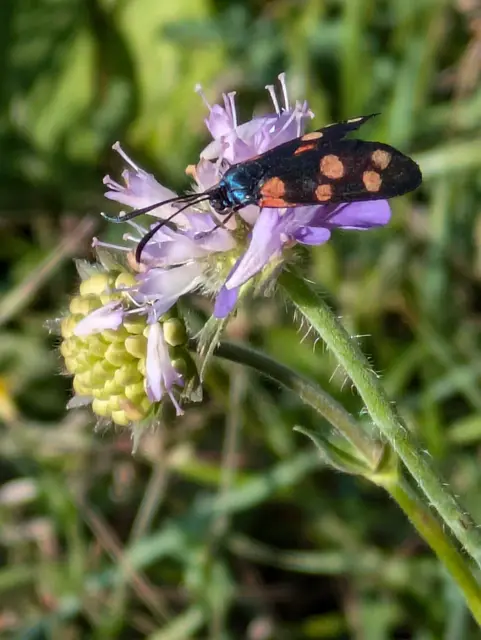 Foto: Eigene Aufnahme 