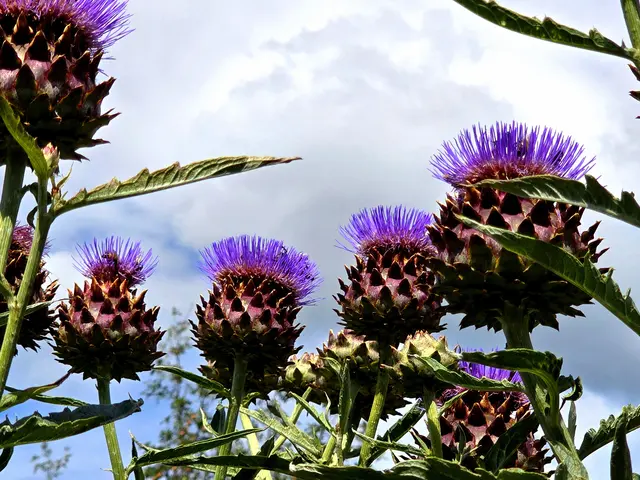 Foto: Heidrun Rosenberger