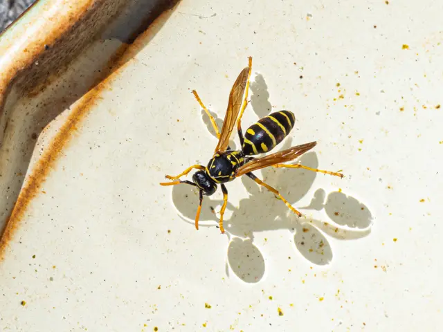   | Foto: Rüdiger Reingräber