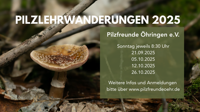 Foto: Pilzfreunde Öhringen e.V.