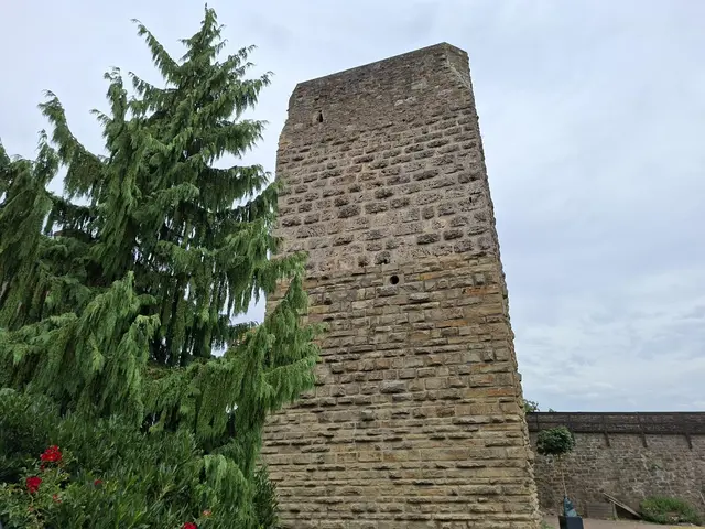 Bad Wimpfen/blauer Turm/ Altstadt/ Speed Climbing/ Fachwerk | Foto: Ralf Röser