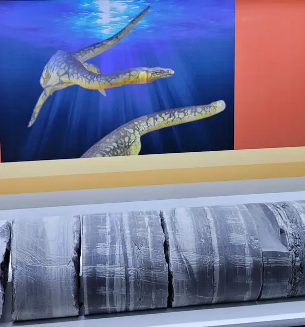 Bohrkernausschnitt (unten 20 cm Durchmesser, insgesamt 160 m Länge) | Foto: Harald Specht