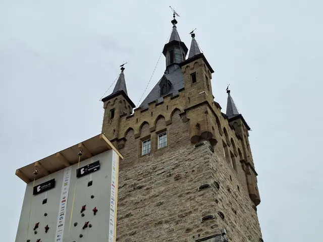 Bad Wimpfen/blauer Turm/ Altstadt/ Speed Climbing/ Fachwerk | Foto: Ralf Röser