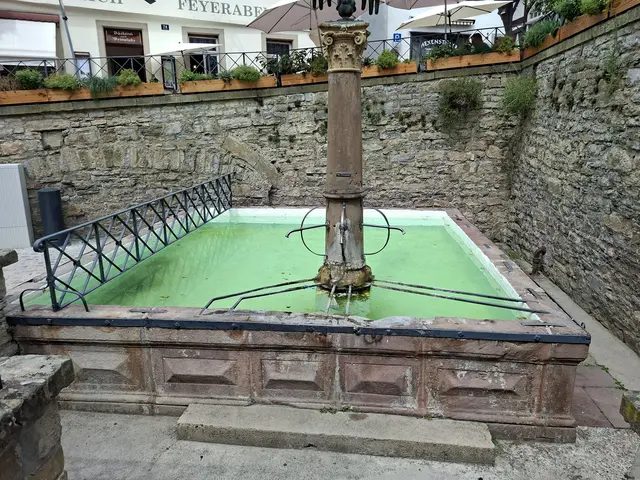 Bad Wimpfen/blauer Turm/ Altstadt/ Speed Climbing/ Fachwerk | Foto: Ralf Röser