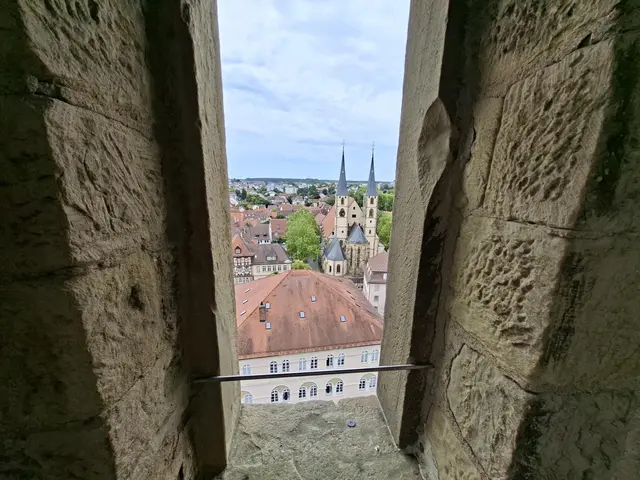 Bad Wimpfen/blauer Turm/ Altstadt/ Speed Climbing/ Fachwerk | Foto: Ralf Röser