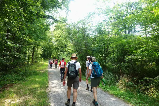 Vorbei an der Laubsteigleshütte hoch zum Baiselsberg. | Foto: Isolde Reitz