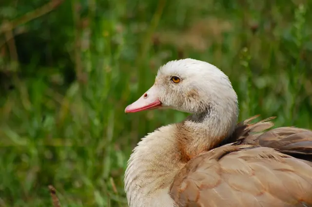Foto: Heidrun Rosenberger