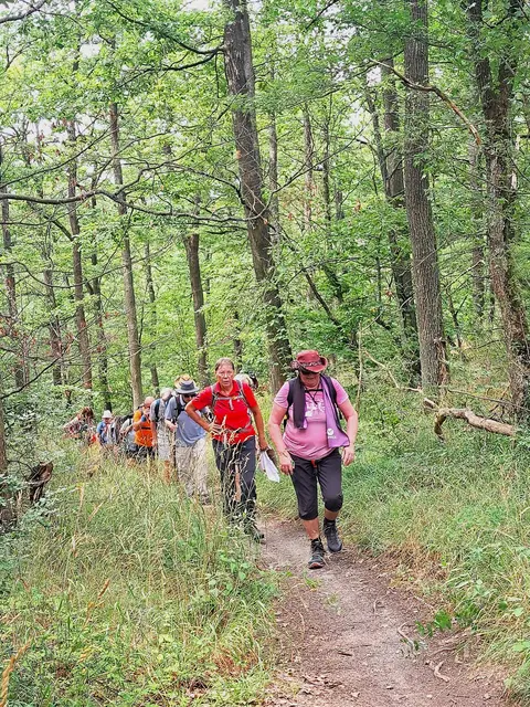 Die Anstrengung ist allen ins Gesicht geschrieben! | Foto: Isolde Reitz