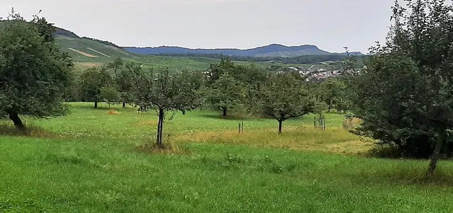 Horrheim mit dem Baiselsberg kommt wieder ins Blickfeld. | Foto: Isolde Reitz