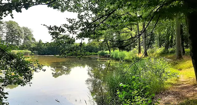 Der für das ehemalige Jagdrevier vom Herzog Karl Eugen künstlich angelegte Hamberger See. | Foto: Isolde Reitz