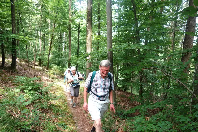 Auf dem Bergkamm geht es auf dem HW10 weiter Richtung Eselsburg. | Foto: Isolde Reitz