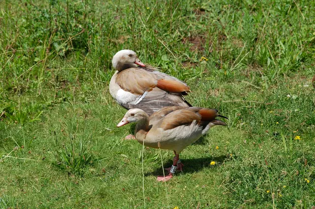 Kind im Vordergrund, Mutter dahinter | Foto: Heidrun Rosenberger