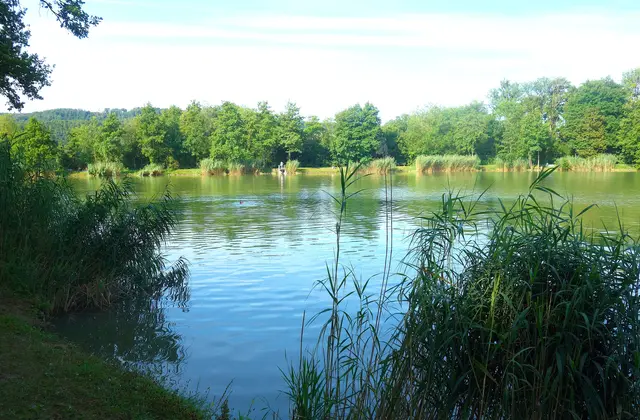 Die Seewaldseen bei Horrheim sind die einzigen Badeseen im Kreis Ludwigsburg. | Foto: Isolde Reitz
