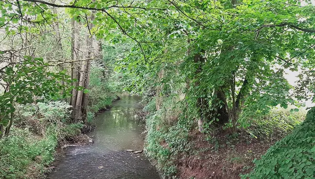 Die Metter wird über eine Brücke passiert. | Foto: Isolde Reitz