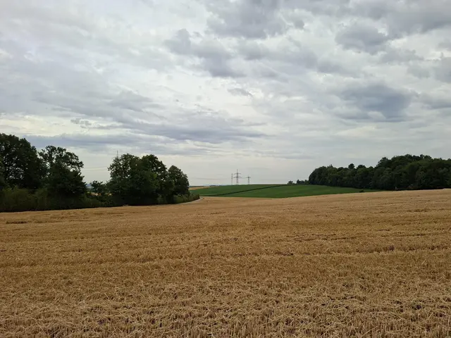 Bad Rappenau/ Abendspaziergang | Foto: Ralf Röser