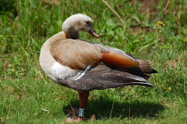 Foto: Heidrun Rosenberger