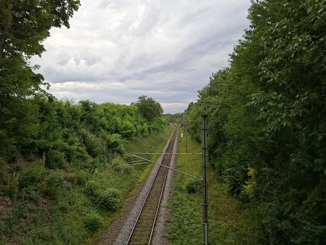 Bad Rappenau/ Abendspaziergang | Foto: Ralf Röser