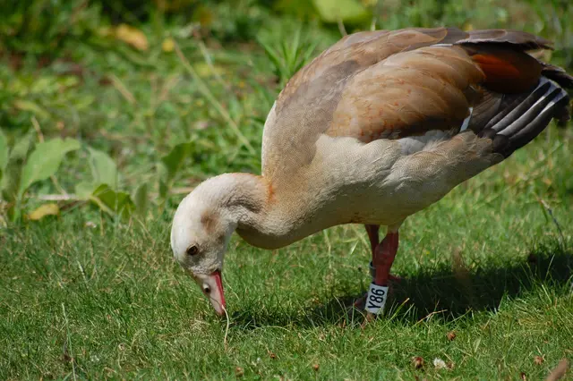 Foto: Heidrun Rosenberger