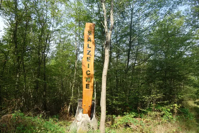 Beim Naturdenkmal "Salzeiche". | Foto: Isolde Reitz