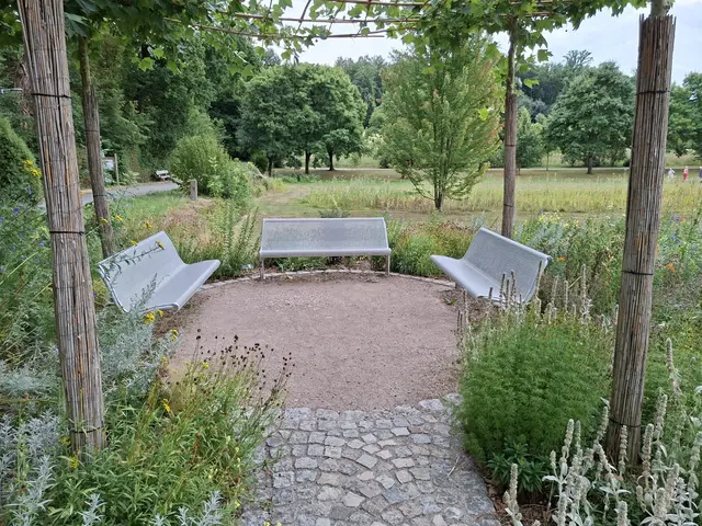 Bad Rappenau/ Abendspaziergang | Foto: Ralf Röser