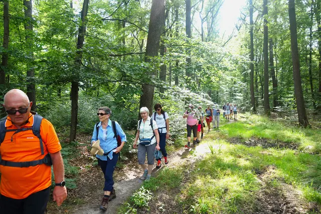 Auf dem Rennweg entlang des Strombergkammes. | Foto: Isolde Reitz