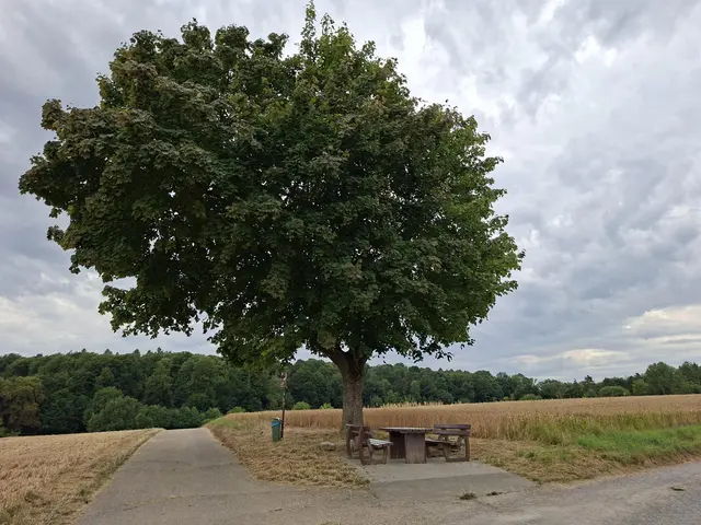 Bad Rappenau/ Abendspaziergang | Foto: Ralf Röser