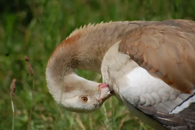 Foto: Heidrun Rosenberger