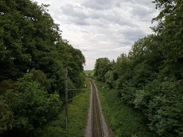 Bad Rappenau/ Abendspaziergang | Foto: Ralf Röser