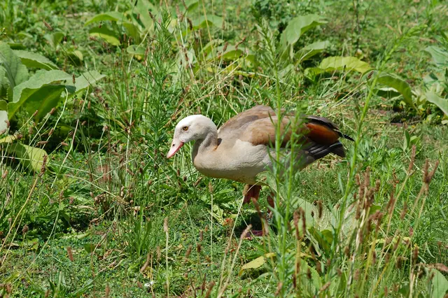 Foto: Heidrun Rosenberger