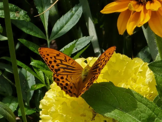 Foto: Heidrun Rosenberger