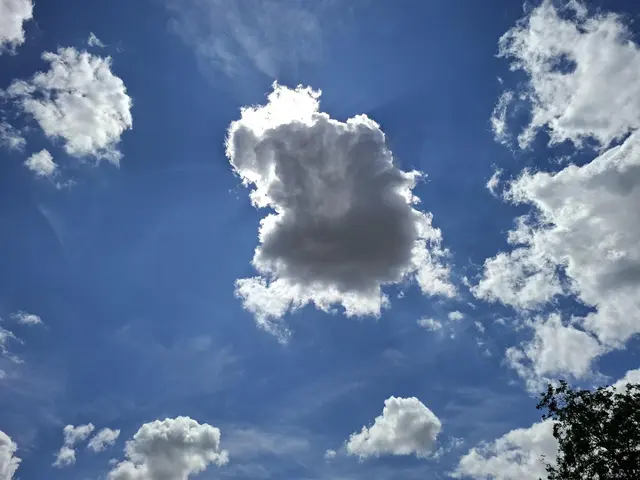 Momentan gibt es tolle Wolken am Himmel☁️⛅🌤️🌥️ | Foto: Ralf Röser