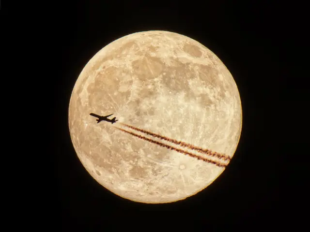 Das Original | Foto: UD