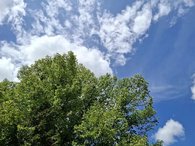 Momentan gibt es tolle Wolken am Himmel☁️⛅🌤️🌥️ | Foto: Ralf Röser