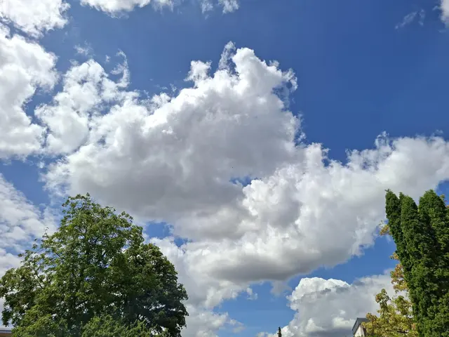Momentan gibt es tolle Wolken am Himmel☁️⛅🌤️🌥️ | Foto: Ralf Röser