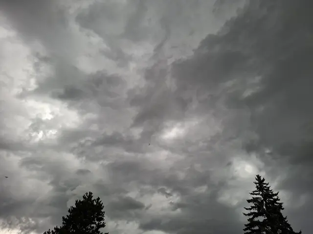 Momentan gibt es tolle Wolken am Himmel☁️⛅🌤️🌥️ | Foto: Ralf Röser