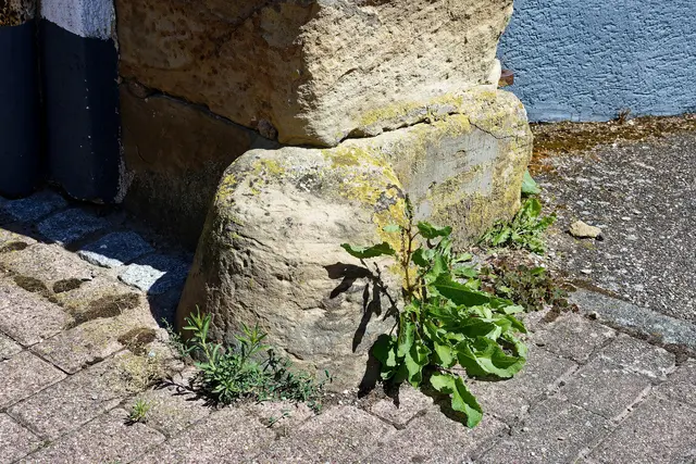 Radabweiser aus der Zeit der Kutschen mit eisenbeschlagenen Reifen | Foto: WKY