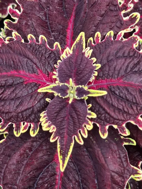 Kurparkrunde | Foto: Ralf Röser