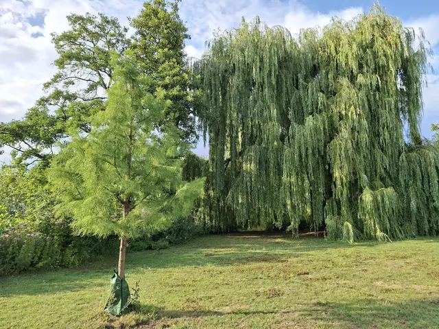 Kurparkrunde | Foto: Ralf Röser