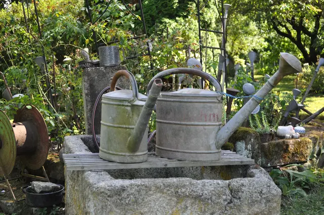 Der ganze Garten ist ein Heimatmuseum. | Foto: Daniela Somers