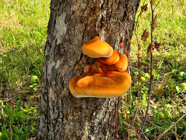 Foto: Heidrun Rosenberger