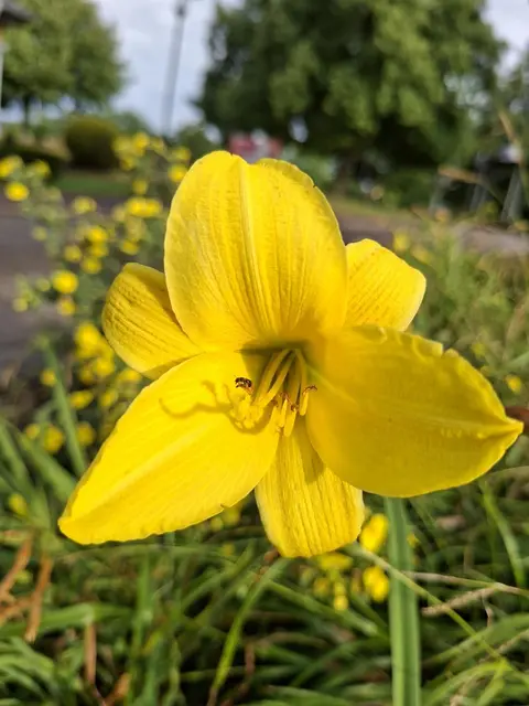 Kurparkrunde | Foto: Ralf Röser