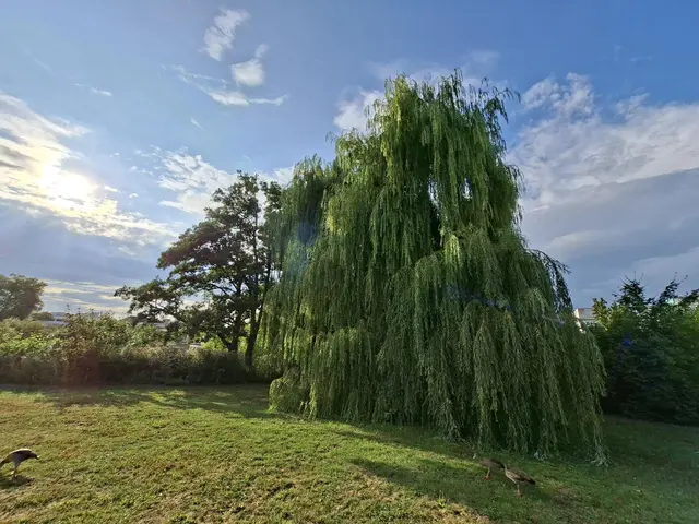 Kurparkrunde | Foto: Ralf Röser